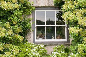 An old English country cottage close up of window